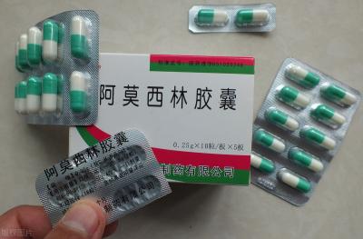 養狗常備這7種藥,不用經常跑醫院,省錢又方便