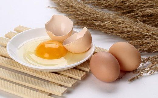 秋天來了，這6種食材，不建議給狗狗吃！