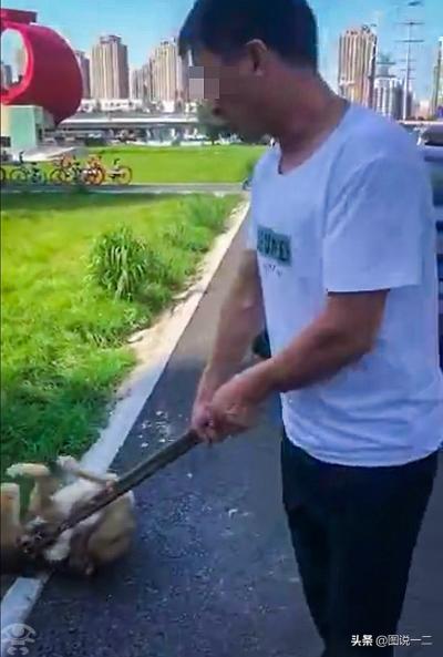 大鐵鉗暴力偷狗引民憤,結果朋友圈被人肉:原來是賣狗肉的