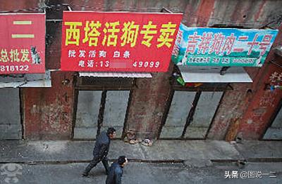大鐵鉗暴力偷狗引民憤,結果朋友圈被人肉:原來是賣狗肉的