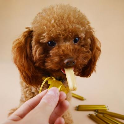 泰迪“以下犯上”的行為，有3條以上就要教了