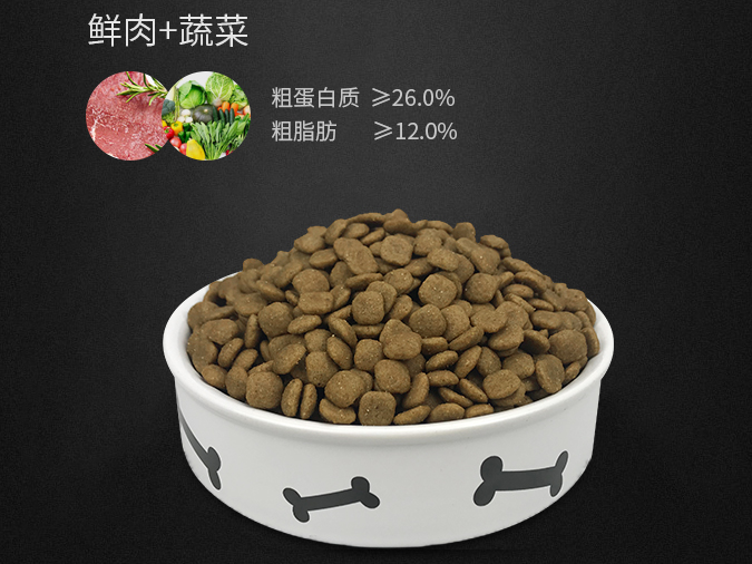 狗狗叫聲大揭秘:這5種叫聲,都是想要告訴你一些事情