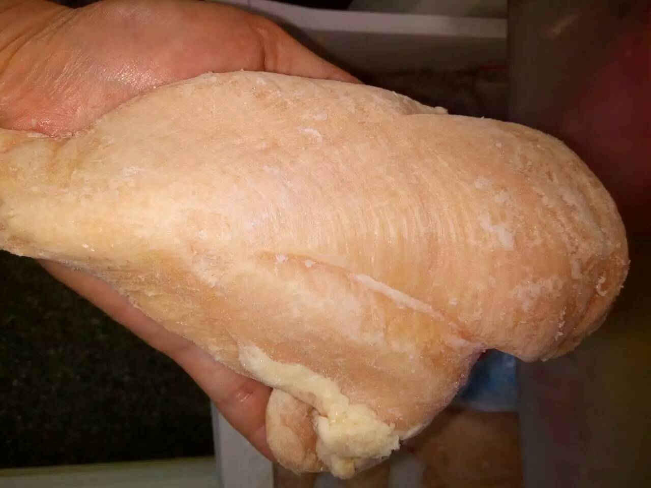 為自家金毛和小泰迪自制零食（雞肉干）