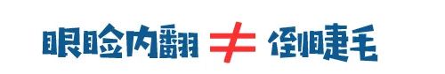 鏟屎官注意！眼瞼內翻≠倒睫毛，越早診斷治療傷害越小