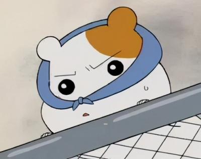 哈哈我笑到隔壁院子的哈士奇要和我拜把子