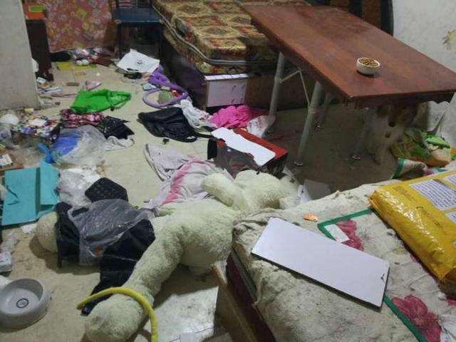 飼養哈士奇遇到的“難題”,你怕了嗎?