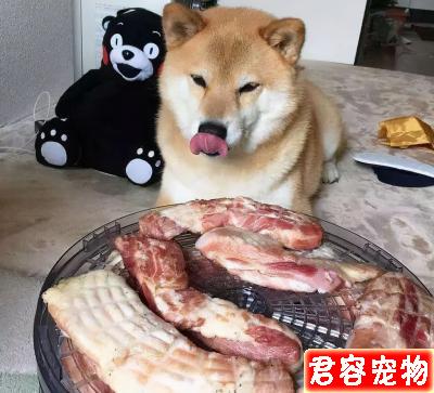 狗狗能吃的“人類食物”到底有哪些?不知道的,看過來