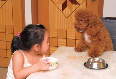 泰迪“以下犯上”的行為，有3條以上就要教了