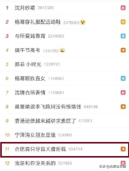 合肥有這樣一座山,是400多只流浪<a href=/zhonglei/gou/ target=_blank class=infotextkey>狗</a>的天堂