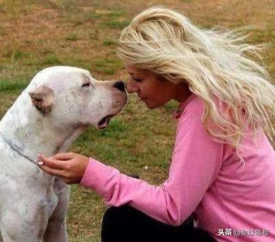 狗死后不可土埋,科學道理為你說明一切