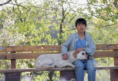 想養中大型犬,不妨考慮下拉布拉多,不會讓你失望的