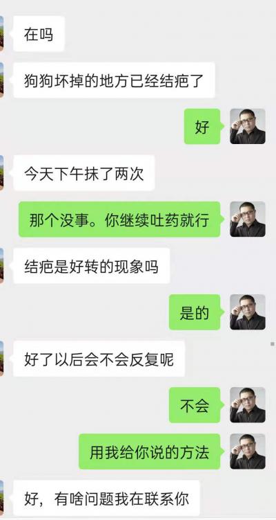 典型的狗狗真菌感染膿皮癥案例