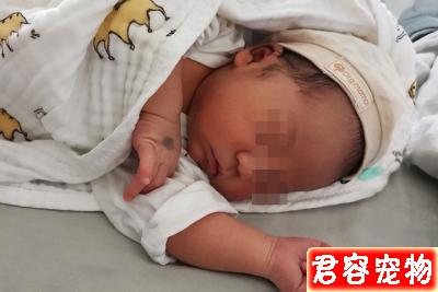 新生兒到底該怎么照顧？是隨意放養，還是如若珍寶的守護？