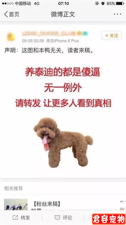 “特別討厭泰迪，看見就想踢是什么心態”？