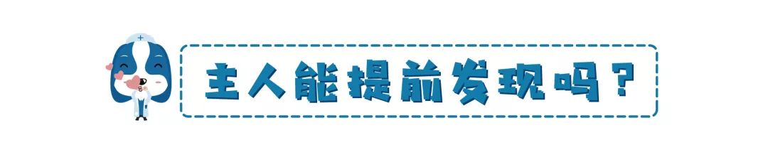 鏟屎官注意！眼瞼內翻≠倒睫毛，越早診斷治療傷害越小
