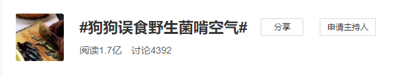 狗狗也中毒!?吃菌需謹慎,這份指南請速速查收→