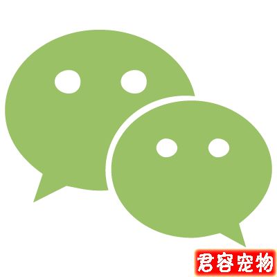 家有愛寵必須收藏！狗狗咳嗽診斷對照