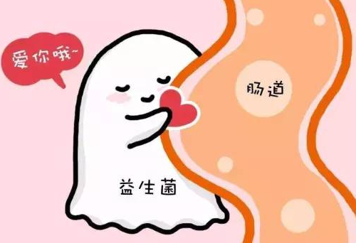 小泰迪拉大便拉不出來