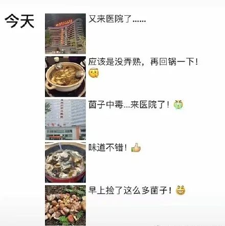 狗狗也中毒!?吃菌需謹慎,這份指南請速速查收→