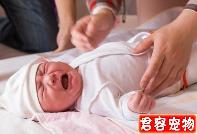 新生兒到底該怎么照顧？是隨意放養，還是如若珍寶的守護？