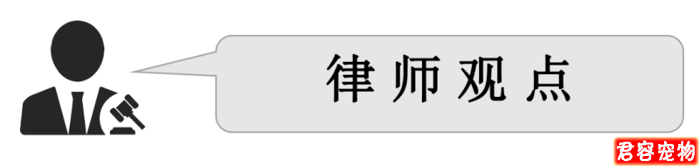 湖北女子花3380元網購博美，收到后一看氣炸了