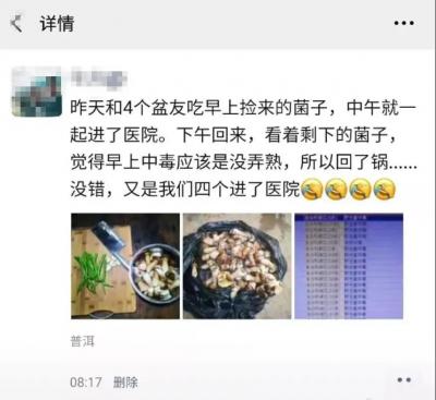 狗狗也中毒!?吃菌需謹慎,這份指南請速速查收→