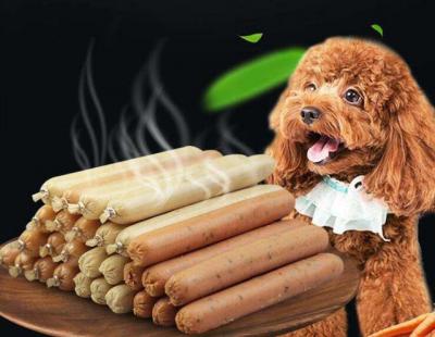 泰迪犬最“愛”吃這五種食物,給它滿滿一碗,都能吃完