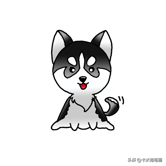 哈士奇的簡易畫法 - Q版哈士奇簡筆畫教程
