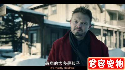 「多哥」:這只“二哈”救人的艱辛,洗刷了它“憨傻蠢萌”的恥辱