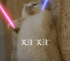 新手須知:泰迪幼犬狗糧喂多少?