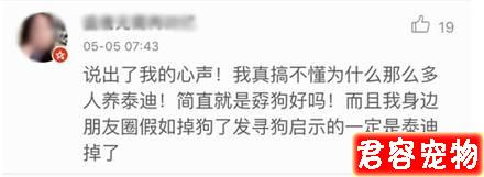 “特別討厭泰迪，看見就想踢是什么心態”？