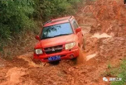 在我心里，躁動的心，已經按捺不住了，于是，帶著小吉一起出去野