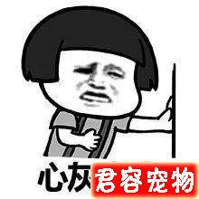 湖北女子花3380元網購博美，收到后一看氣炸了