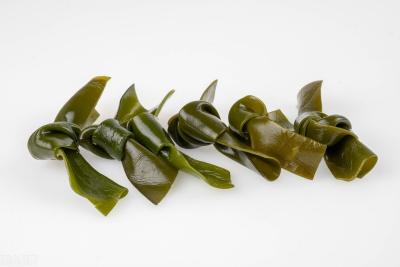 養寵經驗分享:小狗吃什么補鈣