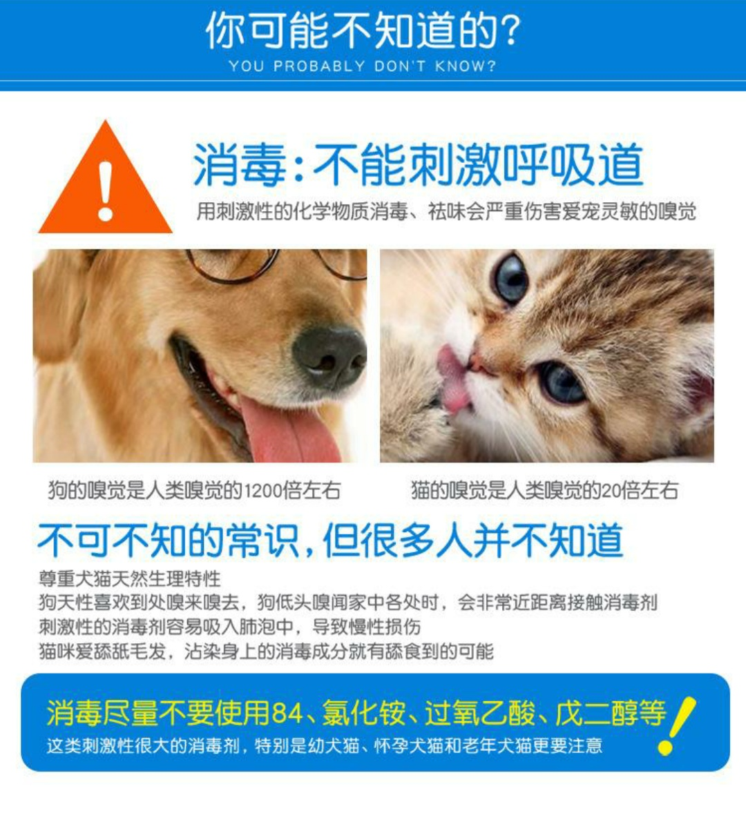 寵物感染這6種傳染病以后,家里該如何徹底消毒呢?