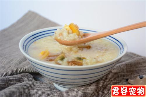 泰迪大便很臭又有點稀，非常臭，是不是哪里不好？