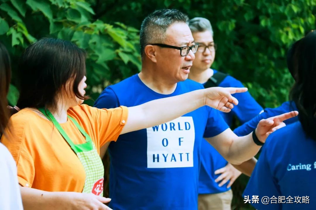 合肥有這樣一座山,是400多只流浪狗的天堂