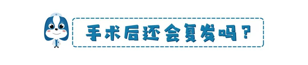 鏟屎官注意！眼瞼內翻≠倒睫毛，越早診斷治療傷害越小