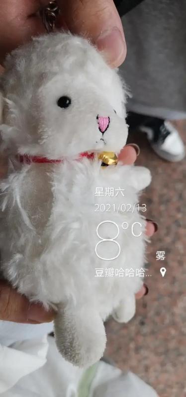 哈哈我笑到隔壁院子的哈士奇要和我拜把子