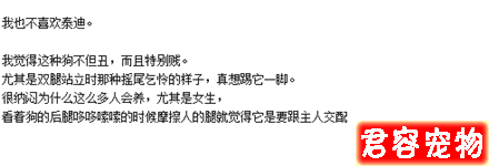“特別討厭泰迪，看見就想踢是什么心態”？