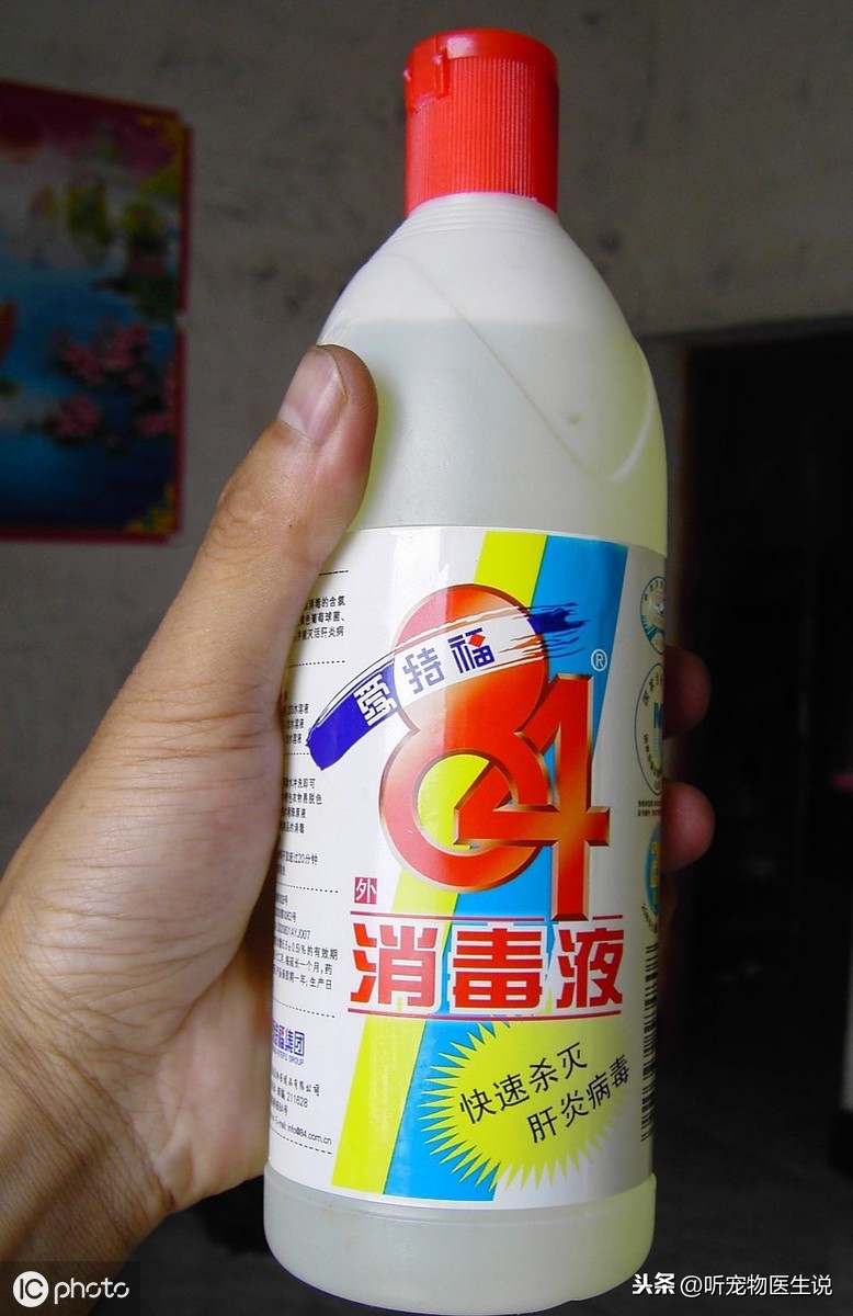 寵物感染這6種傳染病以后,家里該如何徹底消毒呢?