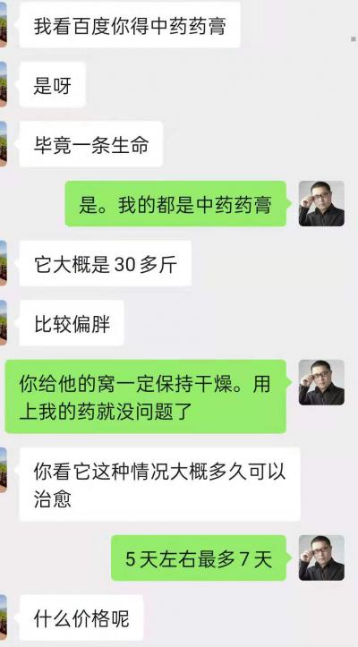 典型的狗狗真菌感染膿皮癥案例
