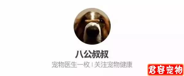 “特別討厭泰迪，看見就想踢是什么心態”？