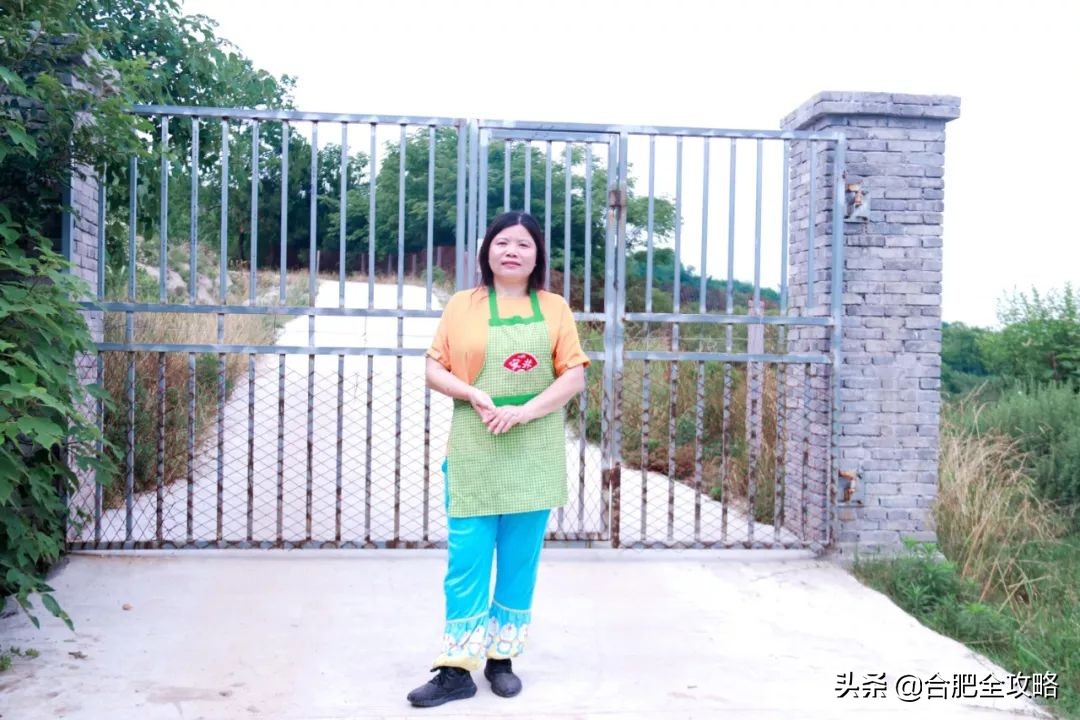 合肥有這樣一座山,是400多只流浪狗的天堂