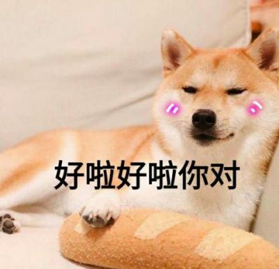 狗狗驅蟲只要驅蟲藥嗎?避免踩坑