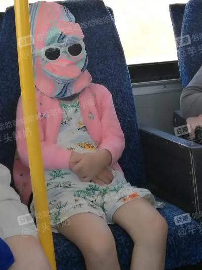 哈哈我笑到隔壁院子的哈士奇要和我拜把子