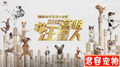 《營救汪星人》回眸一叫百萌生，萬千寵愛在汪星