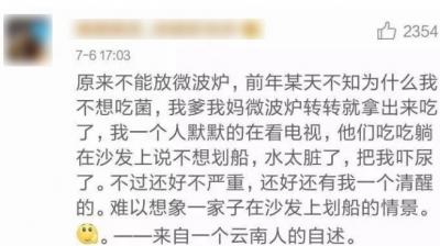 狗狗也中毒!?吃菌需謹慎,這份指南請速速查收→