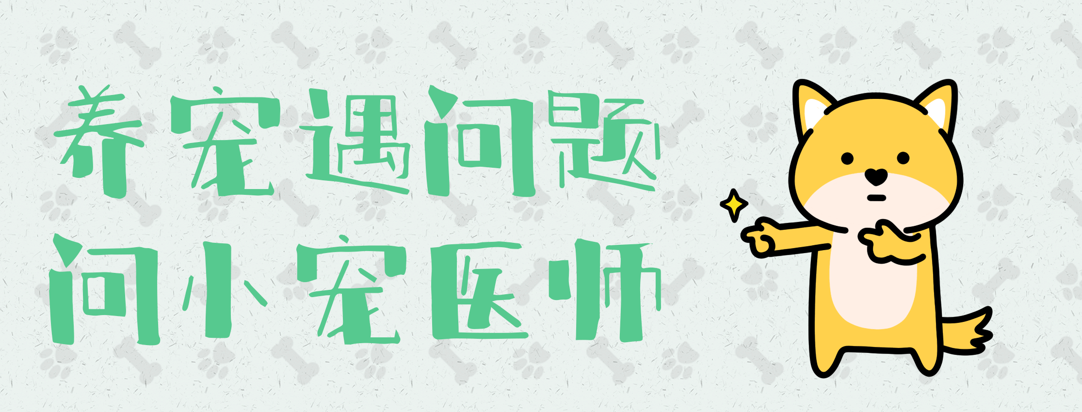 <a href=/zhonglei/gou/ target=_blank class=infotextkey>狗</a>狗不停撓癢，是身上有跳蚤嗎？<a href=/ target=_blank class=infotextkey>寵物</a>醫生詳解狗狗瘙癢的原因防治