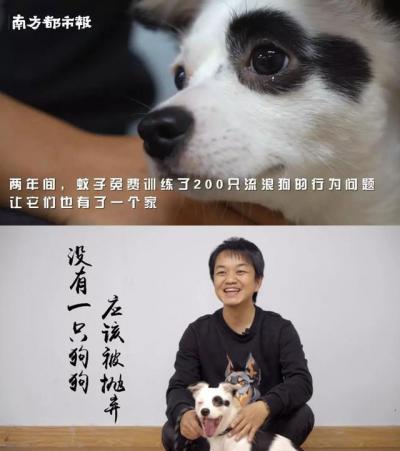 狗吠叫的原因至少有4種之多,搞對原因才能對癥下藥